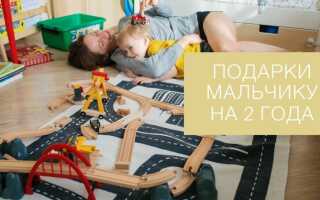 Что подарить мальчику на 2 года — список лучших вариантов интересного и полезного подарка (120 фото идей)