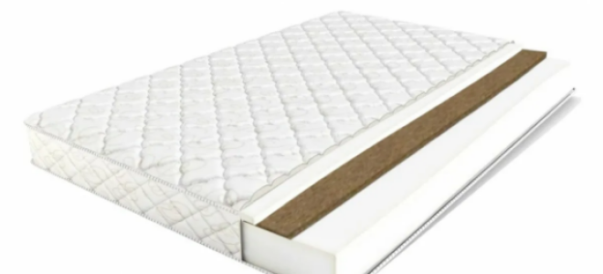 Почему стоит выбрать кокосовый матрас?