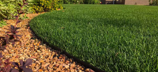 Что нужно учитывать, покупая траву для газона?