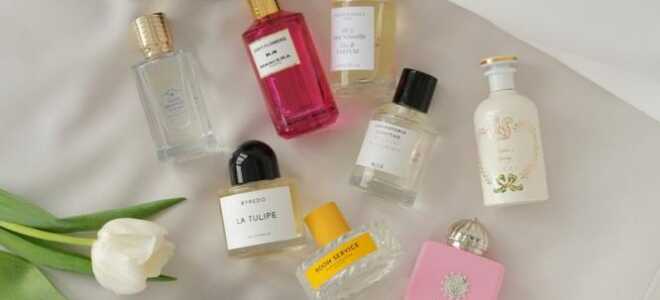 Краткий ликбез: что такое отливанты и отчего они востребованы